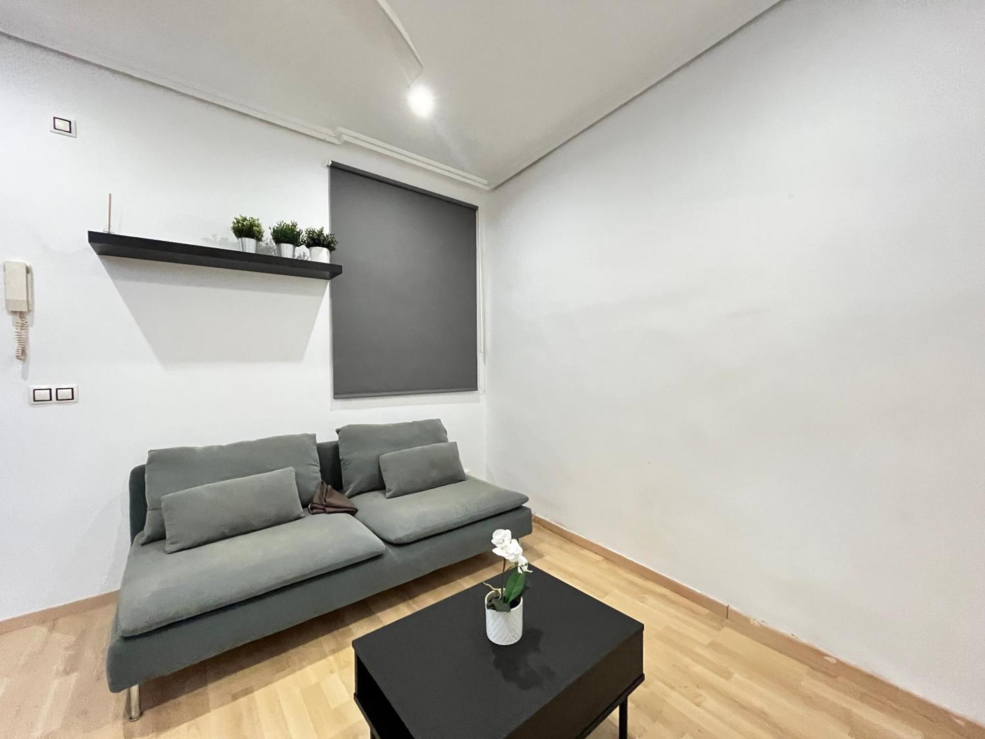 Apartment Centro Embajadores Ave Madrid